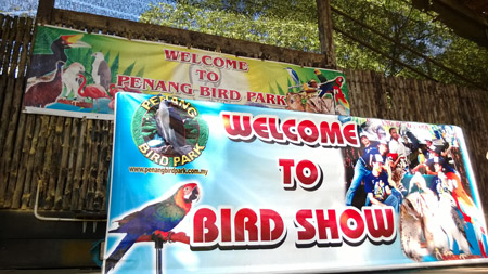 Penang Bird Park Animal Show